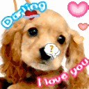 Галя Телендій фотография #43 (источник - https://vk.com/id161932782)