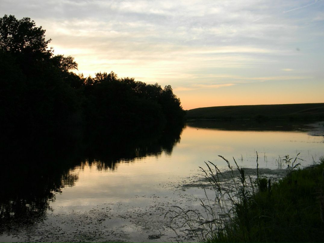 Дмитрий Раев фотография #33