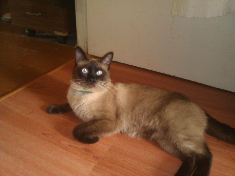 Михаил Рогачёв фотография #19