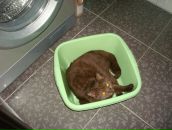 Фотография Белоусова Петра