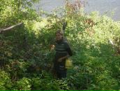 Фотография Точка-Ком Комиссаров Олег