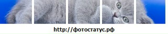 Андрій Лягоменко фотография #22 (источник - https://vk.com/id73083456)