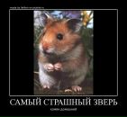 Андрій Грищенко фотография #29 (источник - https://vk.com/id42716455)