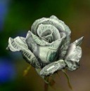 Віталік Сидоренко фотография #19 (источник - https://vk.com/id96005438)