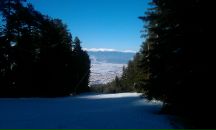 Дмитрий Никитин фотография #40 (источник - https://vk.com/id1869958)