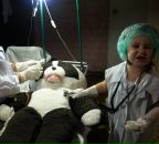 Вікторія Миронова фотография #10 (источник - https://vk.com/id16463748)