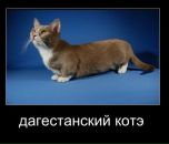 Фотография Григорьева Ярослава