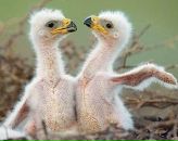 Фотография Юрьевны Ольги