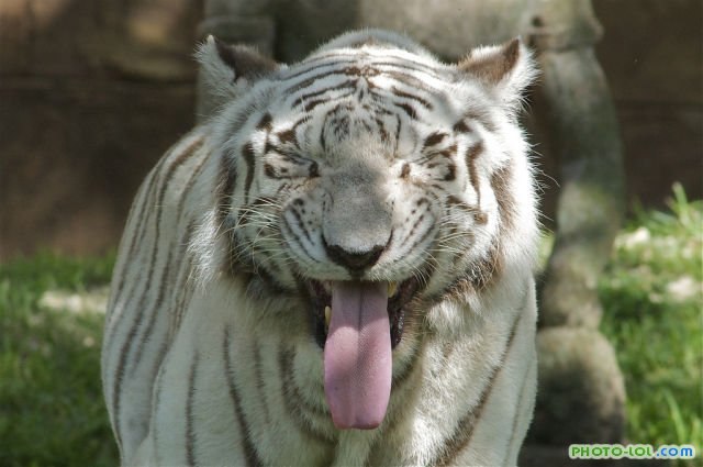 Антон Степанов фотография #44