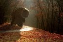 Сергей Власов фотография #32 (источник - https://vk.com/id473083)
