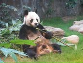 Фотография Полякова Юрия