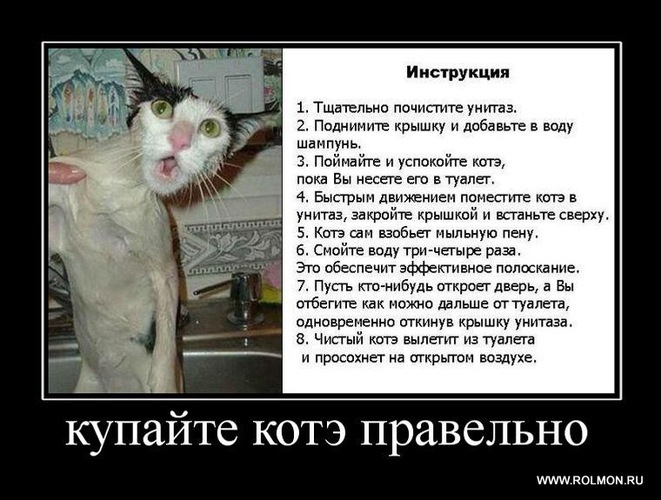 Игорь Шемаров фотография #34