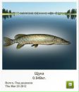 Олексій Стасів фотография #3 (источник - https://vk.com/id164843634)