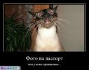 Женя Юджель фотография #47 (источник - https://vk.com/id139099258)