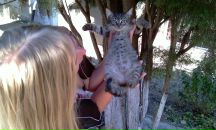 Фотография Ефремовой Екатерины