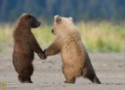 Іван Корінець фотография #41 (источник - https://vk.com/id35537624)