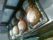 Віталік Флотський фотография #41 (источник - https://vk.com/id24536581)