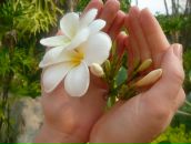 Фотография Важенцевой Валентины