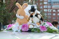 Фотография Феденевой Ольги