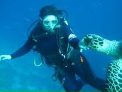 Фотография Никитиной Елены