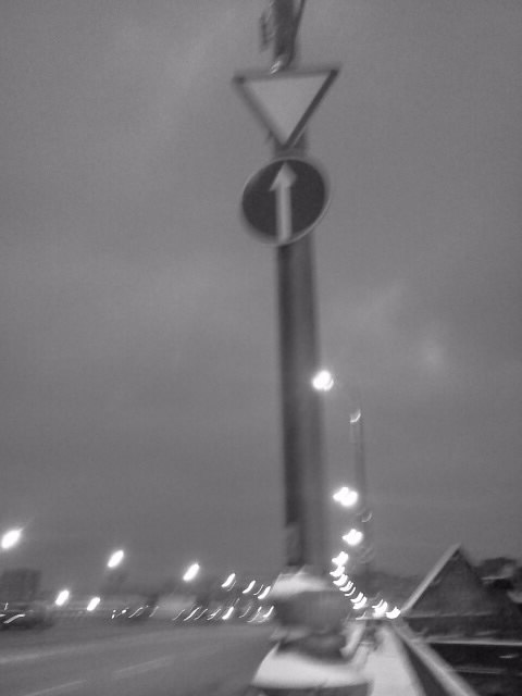 Игорь Plat фотография #27