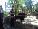 Вася Кинів фотография #1