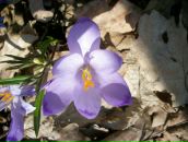 Маріна Побурянна фотография #37 (источник - https://vk.com/id104801372)