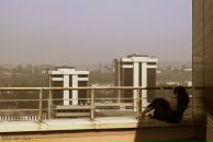 Фотография Гурбанов Руслан