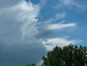 Роман Білий фотография #23 (источник - https://vk.com/id8840115)