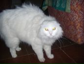 Лема Едаменко фотография #9 (источник - https://vk.com/id8110787)