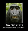 Фотография Чащина Владимира