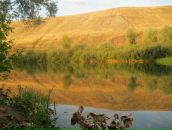 Рустем Лутфуллин фотография #26 (источник - https://vk.com/id8515565)