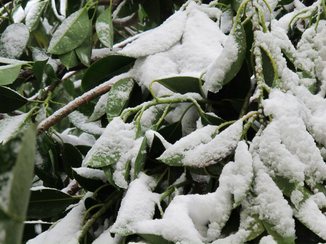 Иван Иванов фотография #37