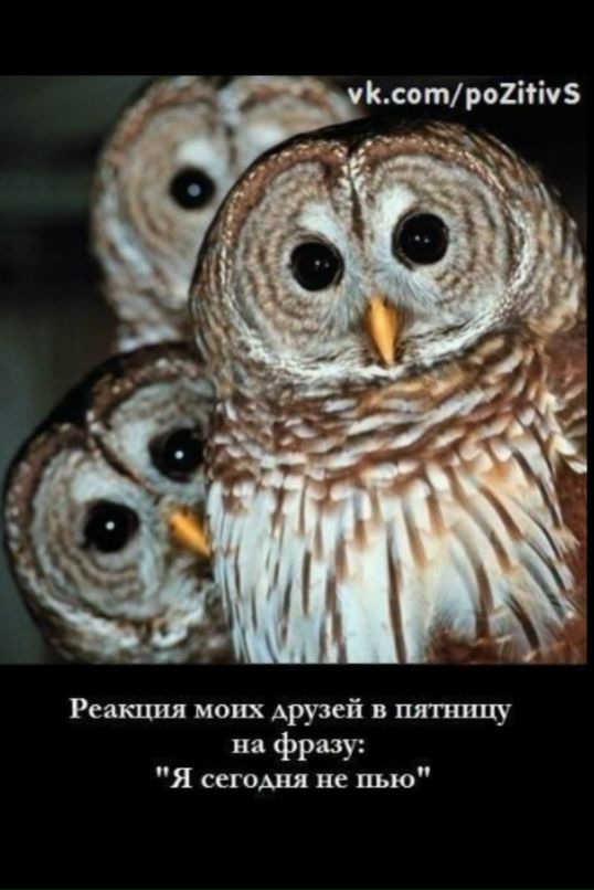 Igor Rybakov фотография #6