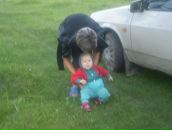 Андрій Багінський фотография #11 (источник - https://vk.com/id162646221)