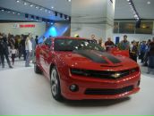 Фотография Литовченко Дейвидаса