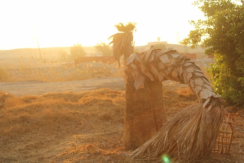 Сергей Морозов фотография #44