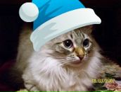 Фотография Журавлевой Елены