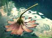 Фотография Generalova Irina