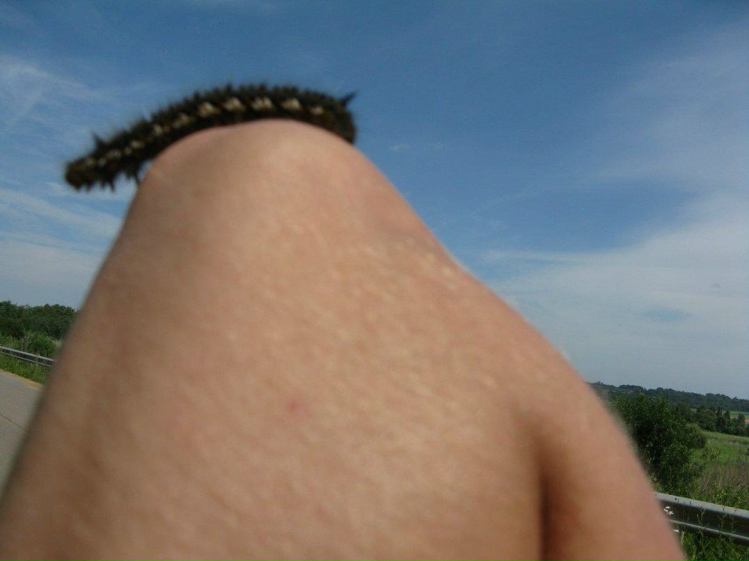 Лида Антоненко фотография #24