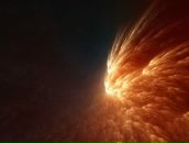 Фотография Никитина Александра