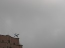 Владислав Підвисоцький фотография #18 (источник - https://vk.com/id70147667)