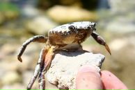 Johnny Man фотография #20 (источник - https://vk.com/id366289)