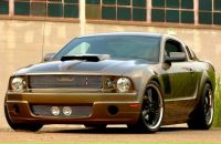 Фотография Иванова Алексея