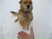 Фотография Долгова Александра