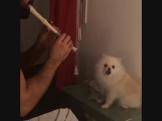 Концерт по заявкам