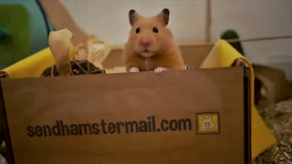 ♥ Распаковка почты Хомяка (♥ Жизнь Хомячка)