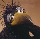 Фотография Чимакадзе Виктории