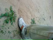 Фотография Казакова Александра