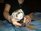 Дима Сергеевич фотография #35 (источник - https://vk.com/id1479155)